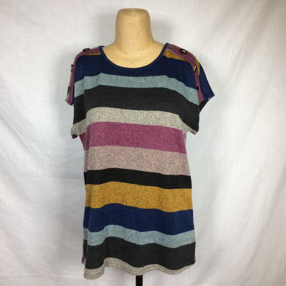 Lavish Blue/Purple/Black/Tan Striped Top